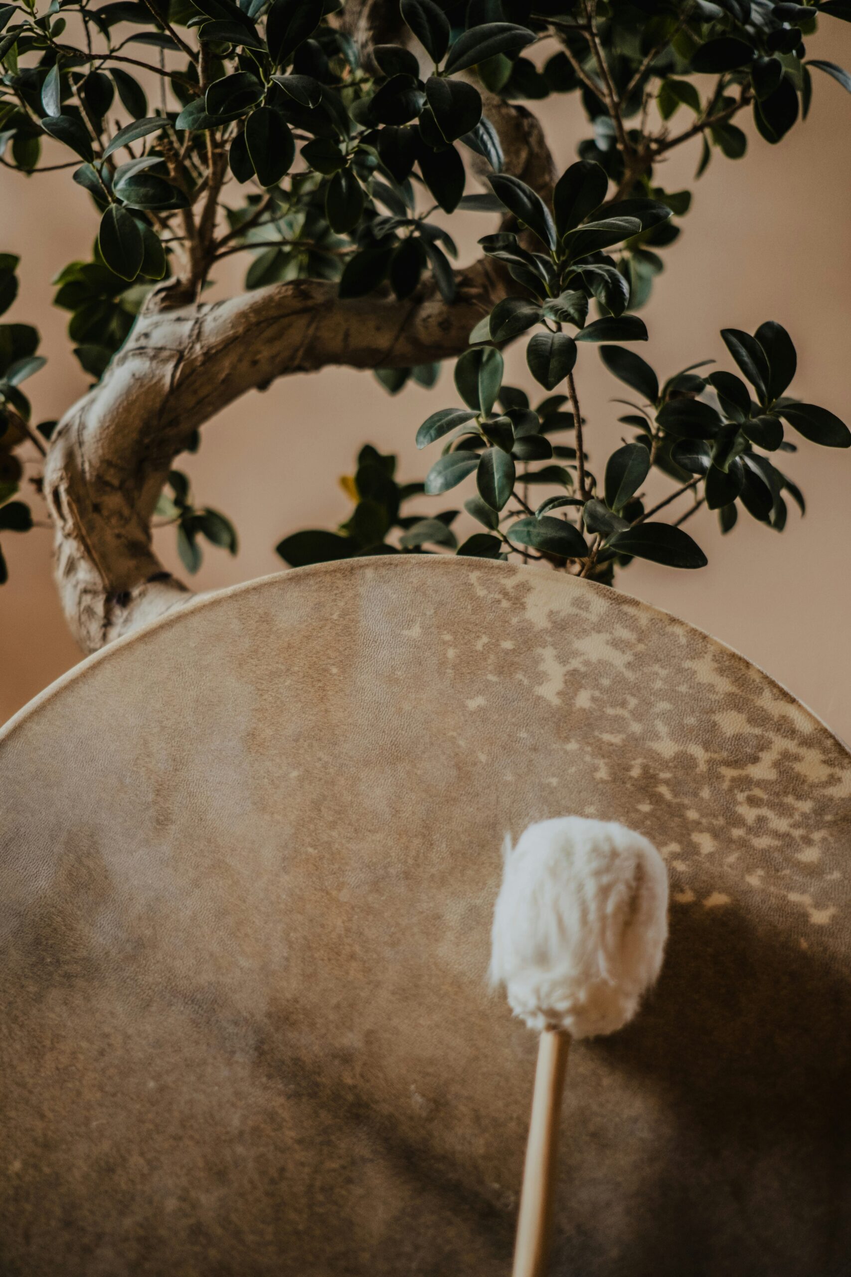 tamas-sandor-cviBBQE53dM-unsplash-min