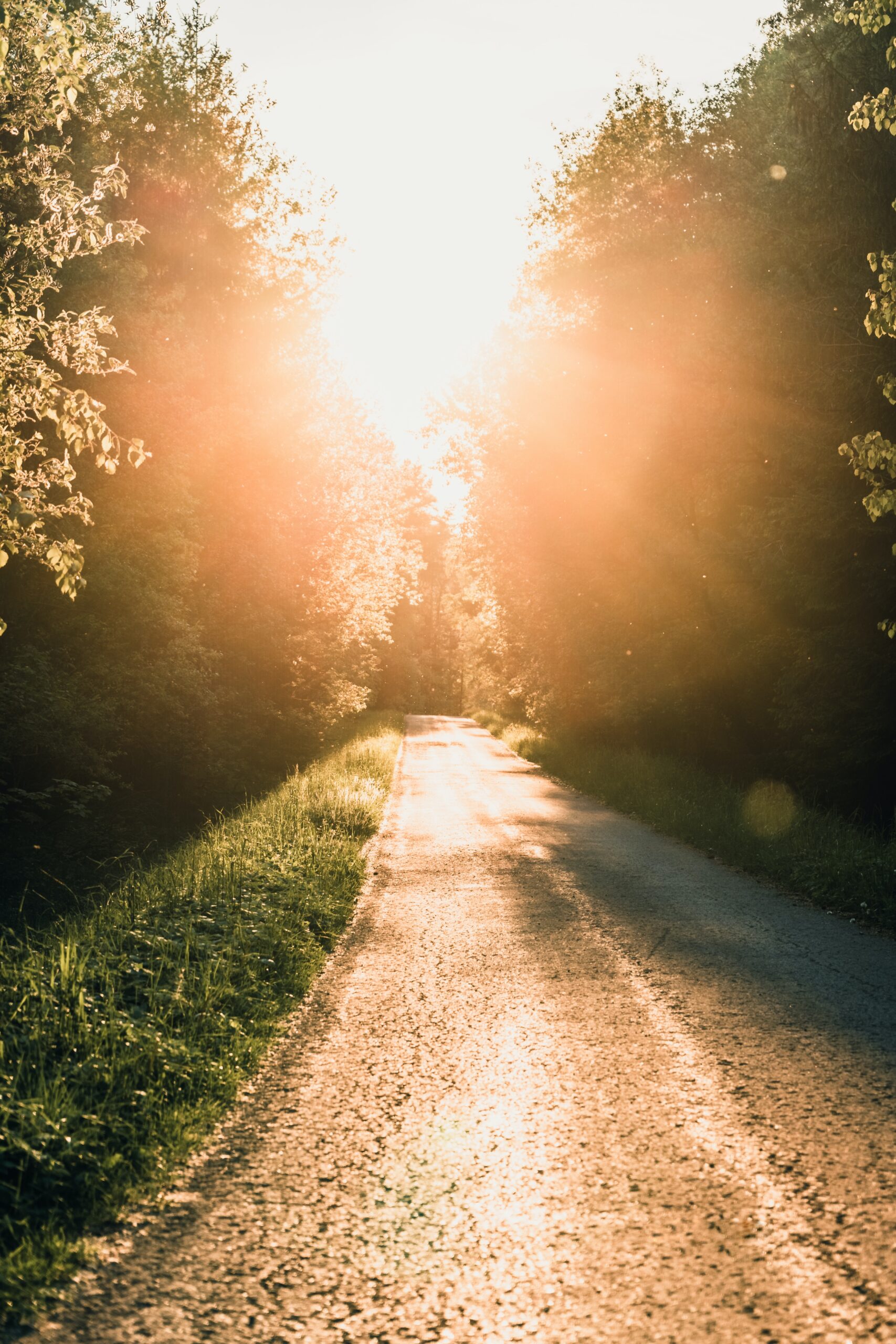 julian-hochgesang-Nnv5Gb8z6OI-unsplash