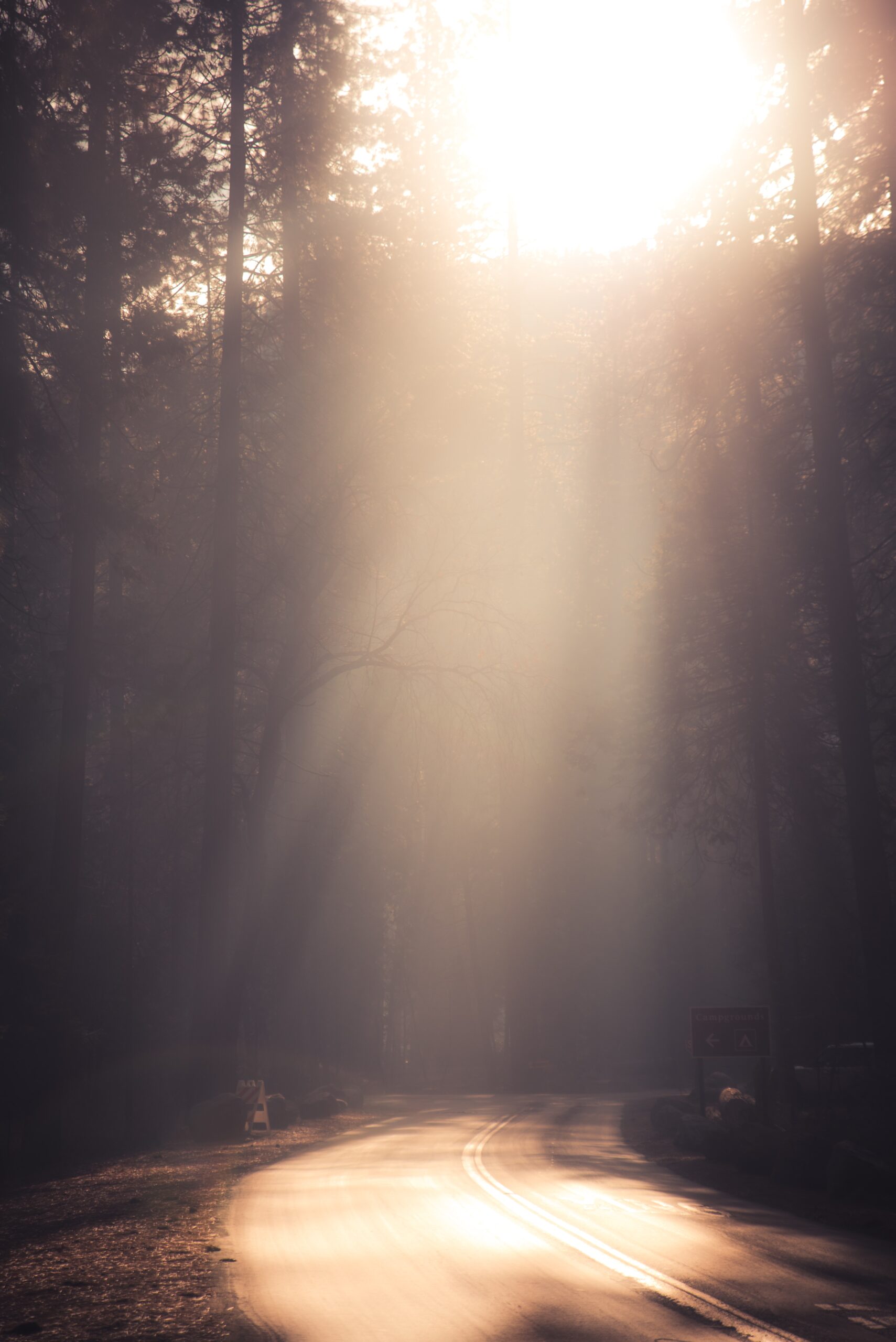 casey-horner-XyptLXlP6bc-unsplash